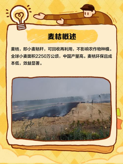 麦桔 从田间废弃物到绿色宝藏的蜕变